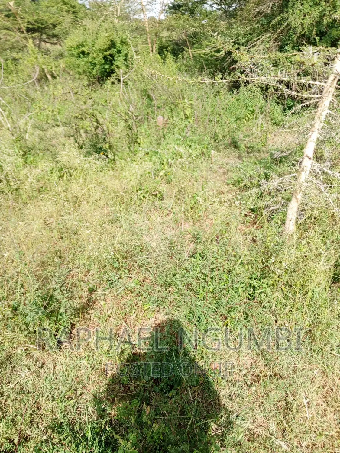 Three (3) Acres at Sultan Hamud in Nzaui/Kilili/Kalamba