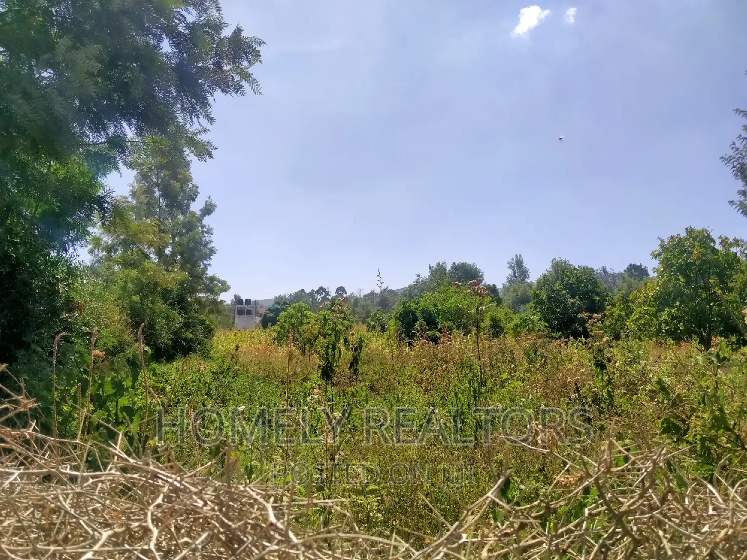 Spacious Quarters in Tarmac-Near Kiserian: Prime Location, Good Neighborhood in Kiserian