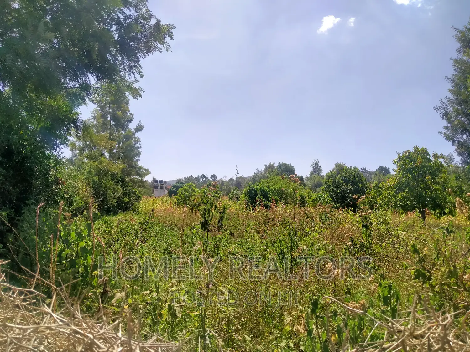 Spacious Quarters in Tarmac-Near Kiserian: Prime Location, Good Neighborhood in Kiserian
