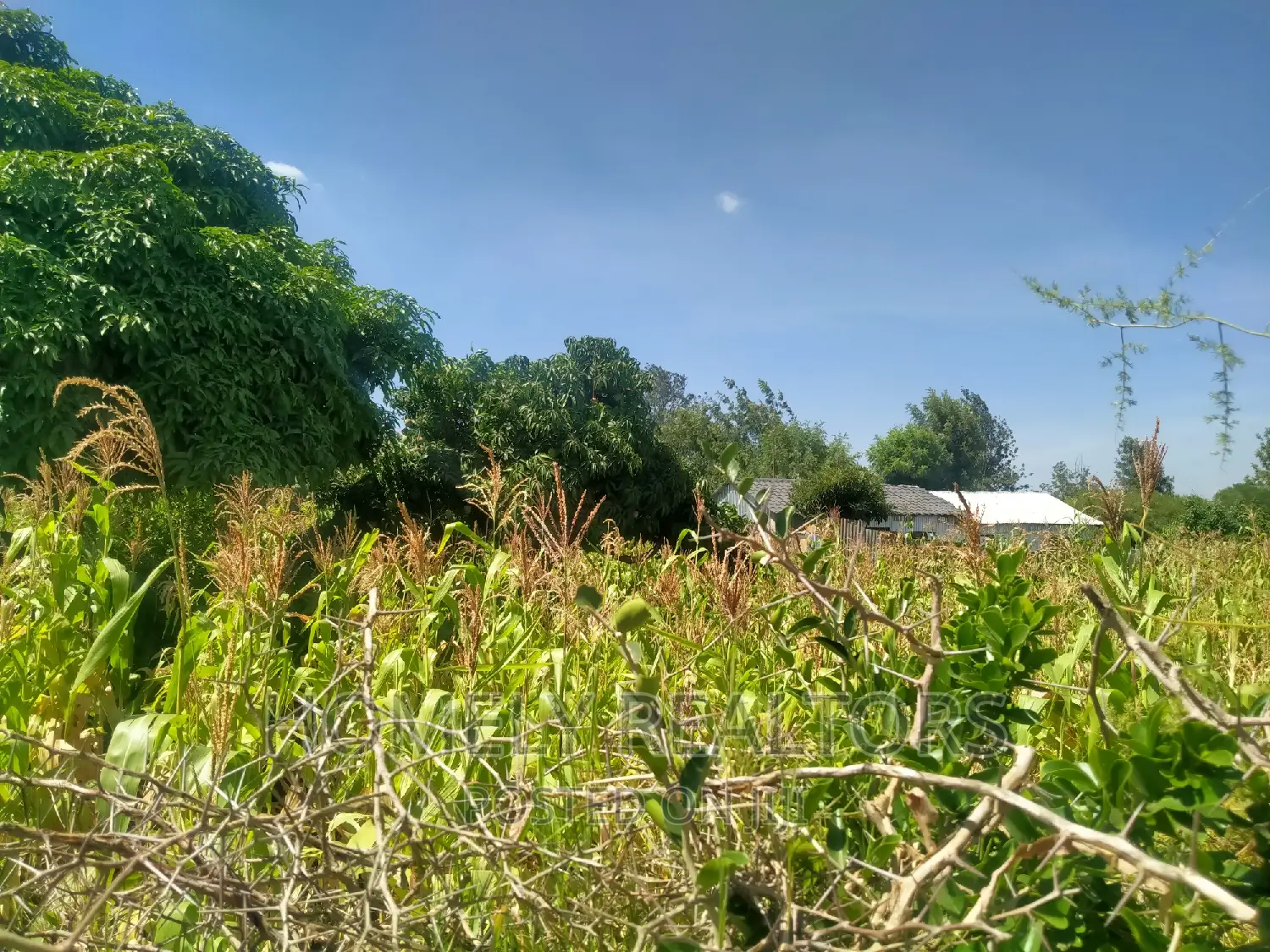 Spacious Quarters in Tarmac-Near Kiserian: Prime Location, Good Neighborhood in Kiserian