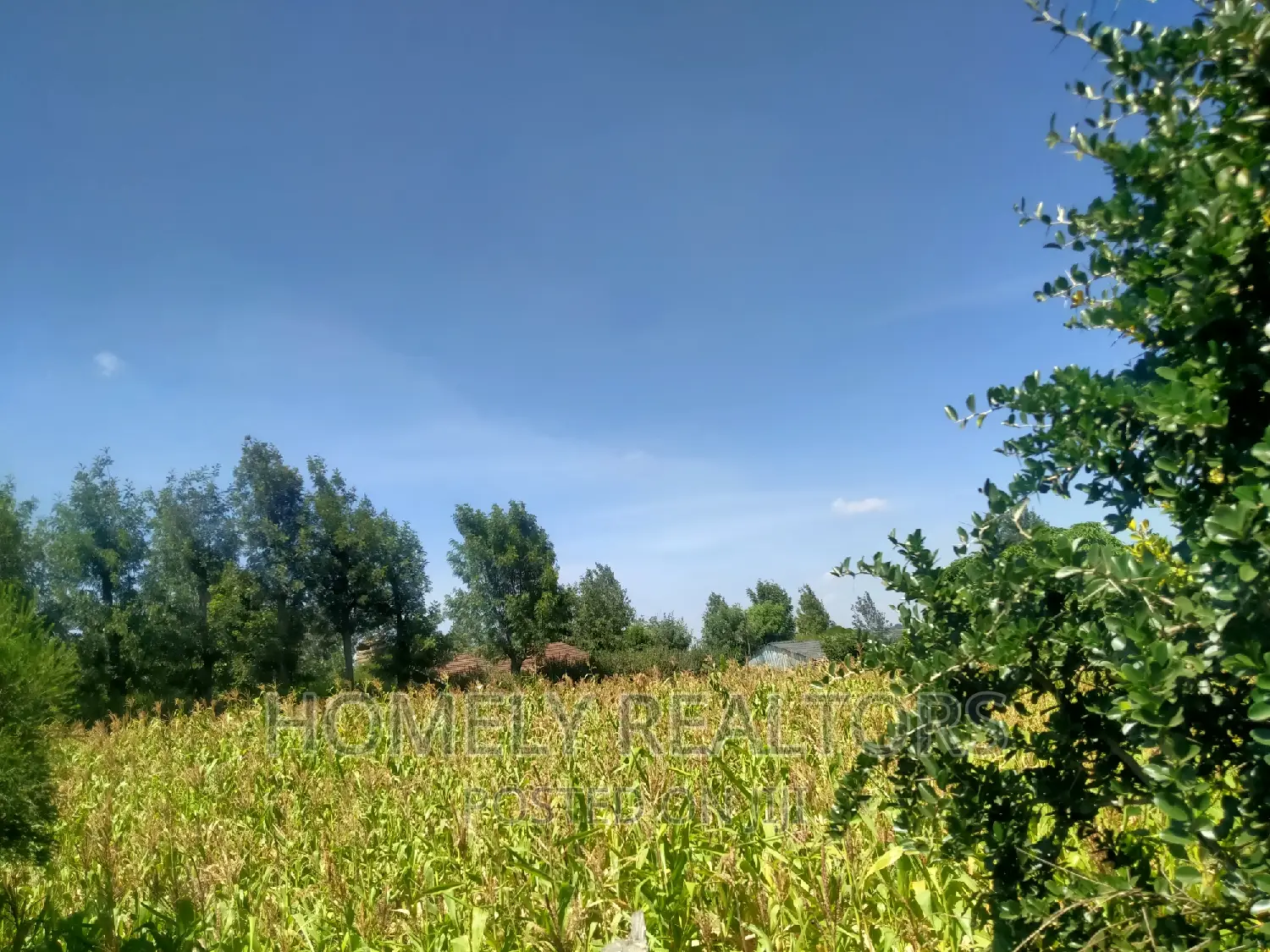 Spacious Quarters in Tarmac-Near Kiserian: Prime Location, Good Neighborhood in Kiserian