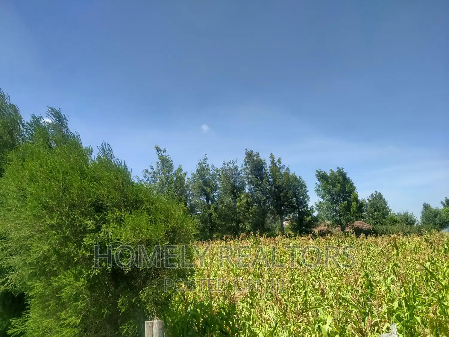 Spacious Quarters in Tarmac-Near Kiserian: Prime Location, Good Neighborhood in Kiserian