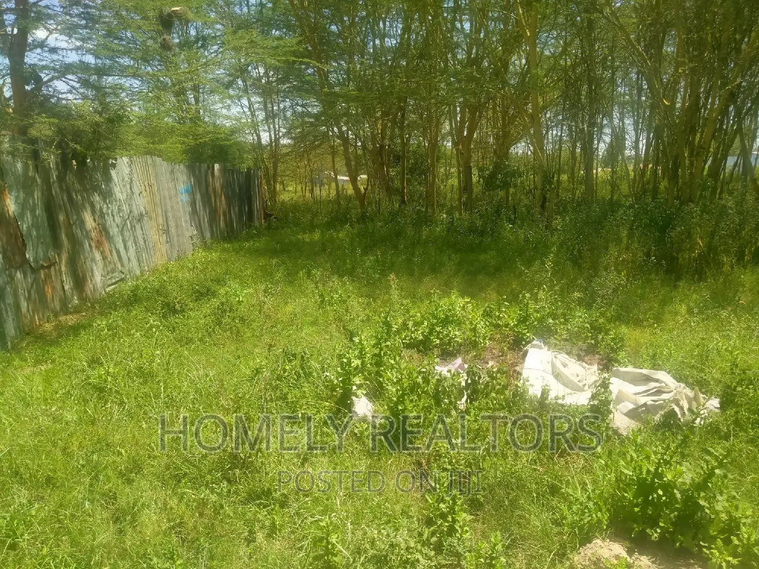 Ngong Matasia Plot for Sale - 250m from Tarmac, Quarter Acre in Matasia