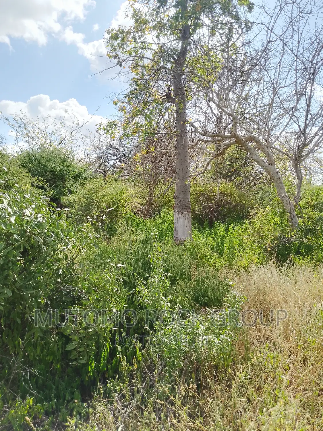 41 Acres For Sale in Mutomo