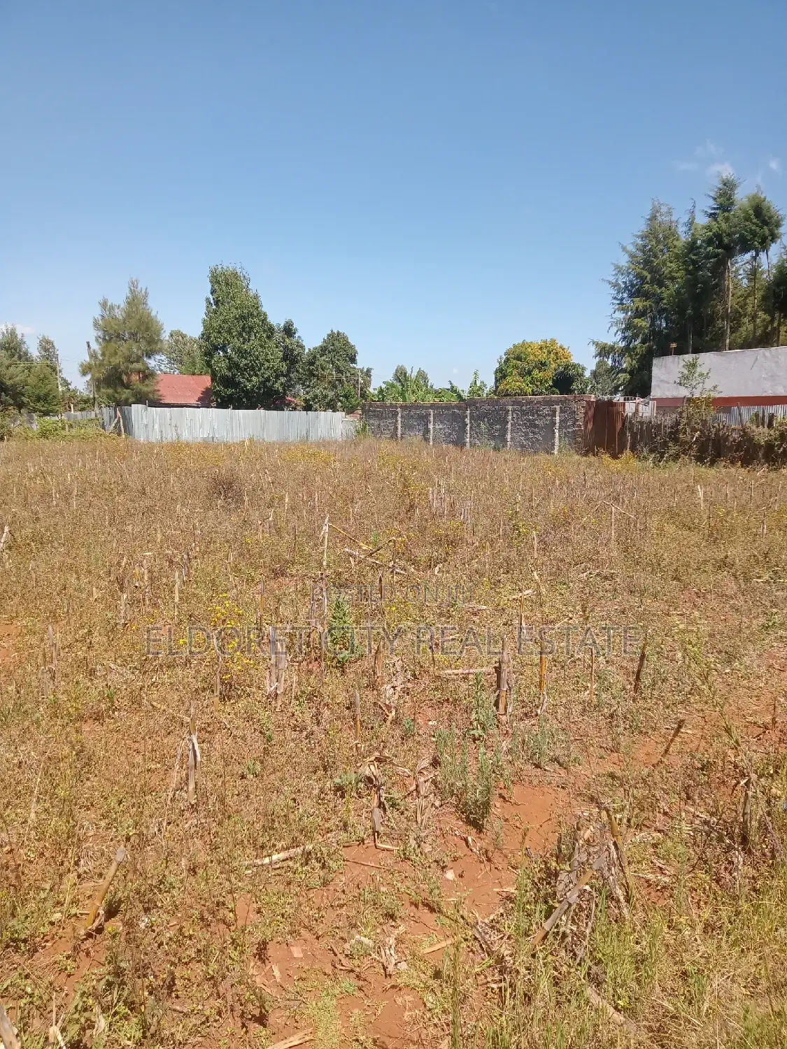 1/2 Acre Kimumu Ideal for Rental in Kapsuswa