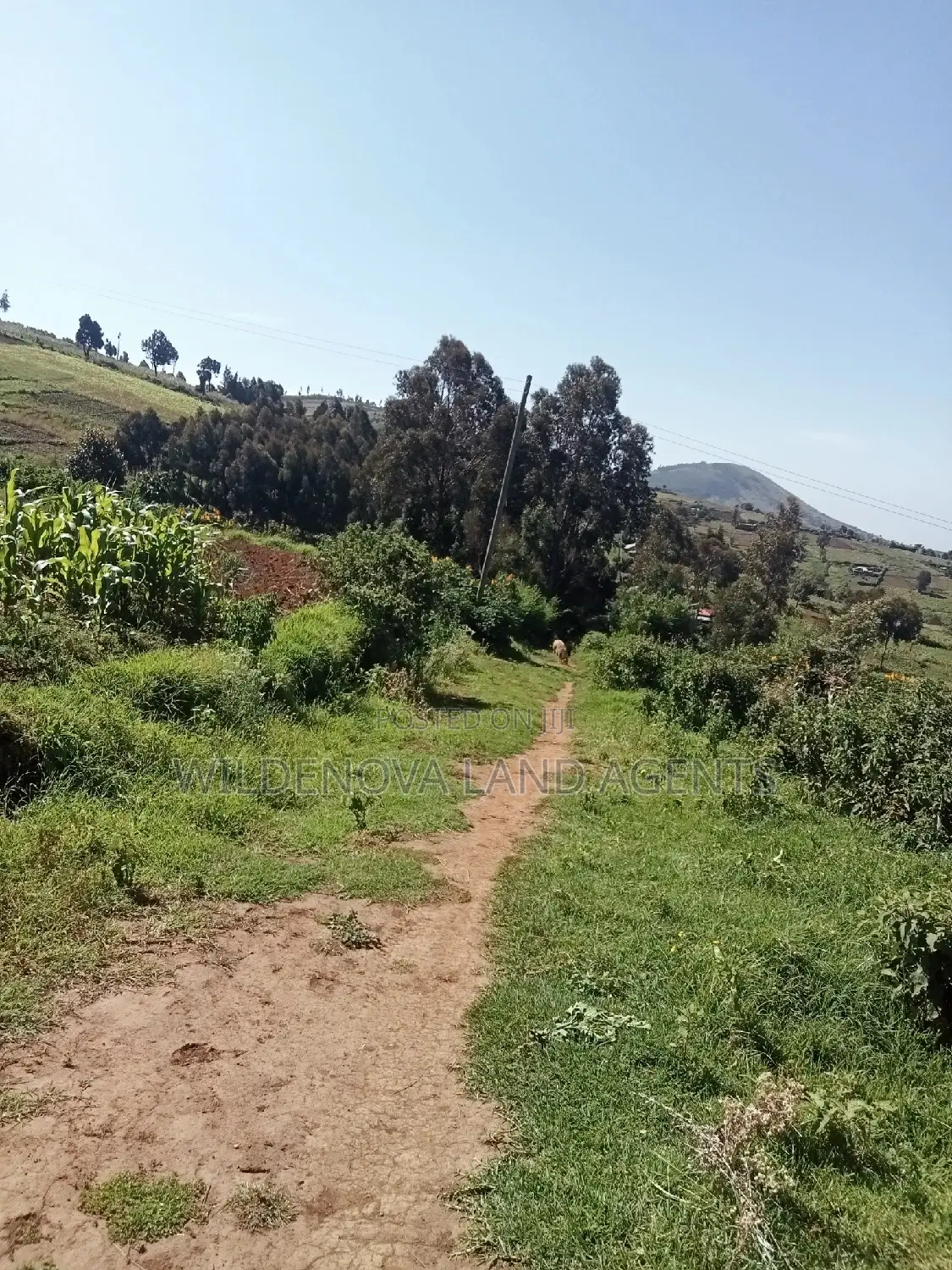 Viewpoint Naivasha: Land Opportunities Await in Naivasha East