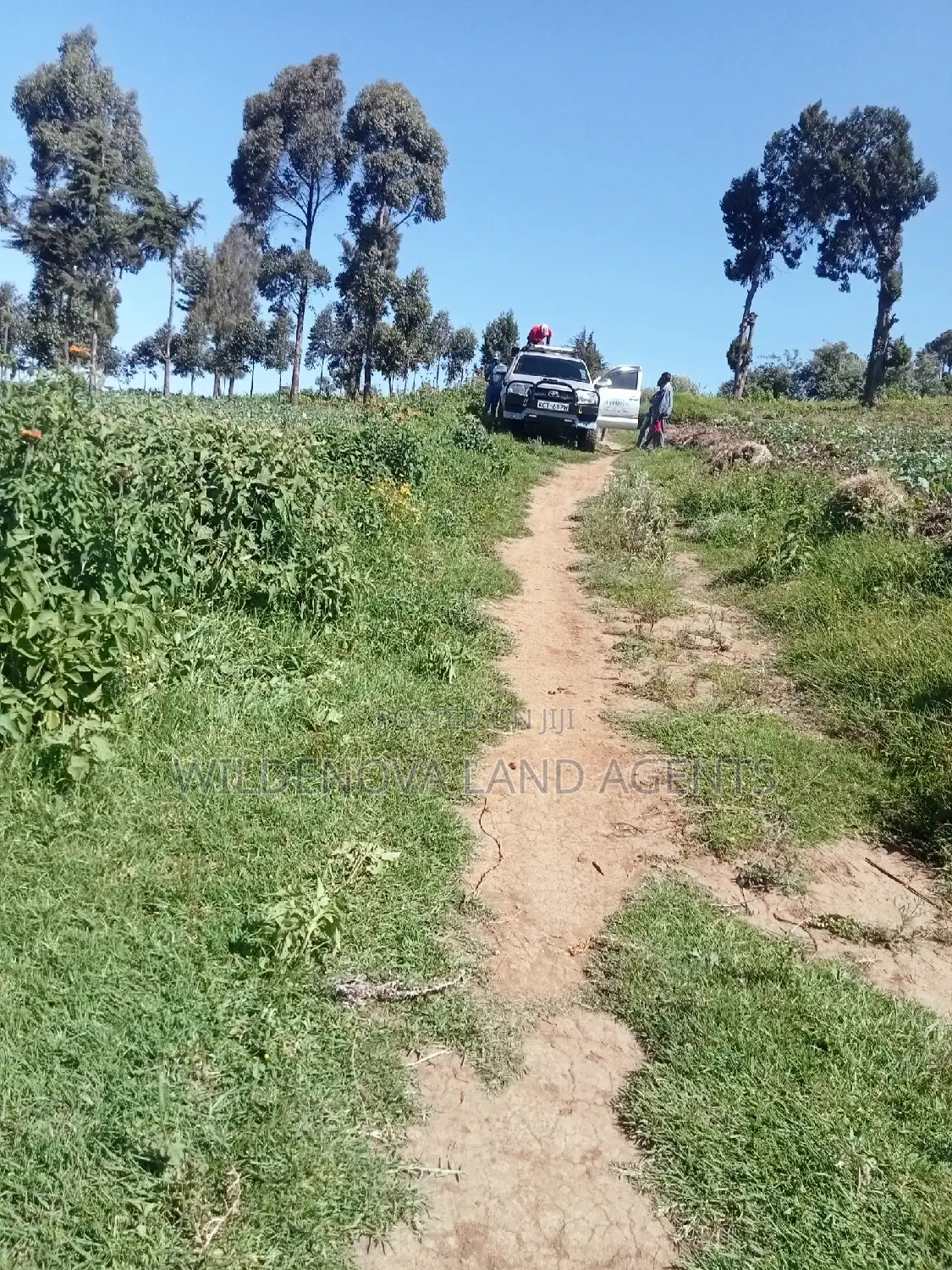 Viewpoint Naivasha: Land Opportunities Await in Naivasha East