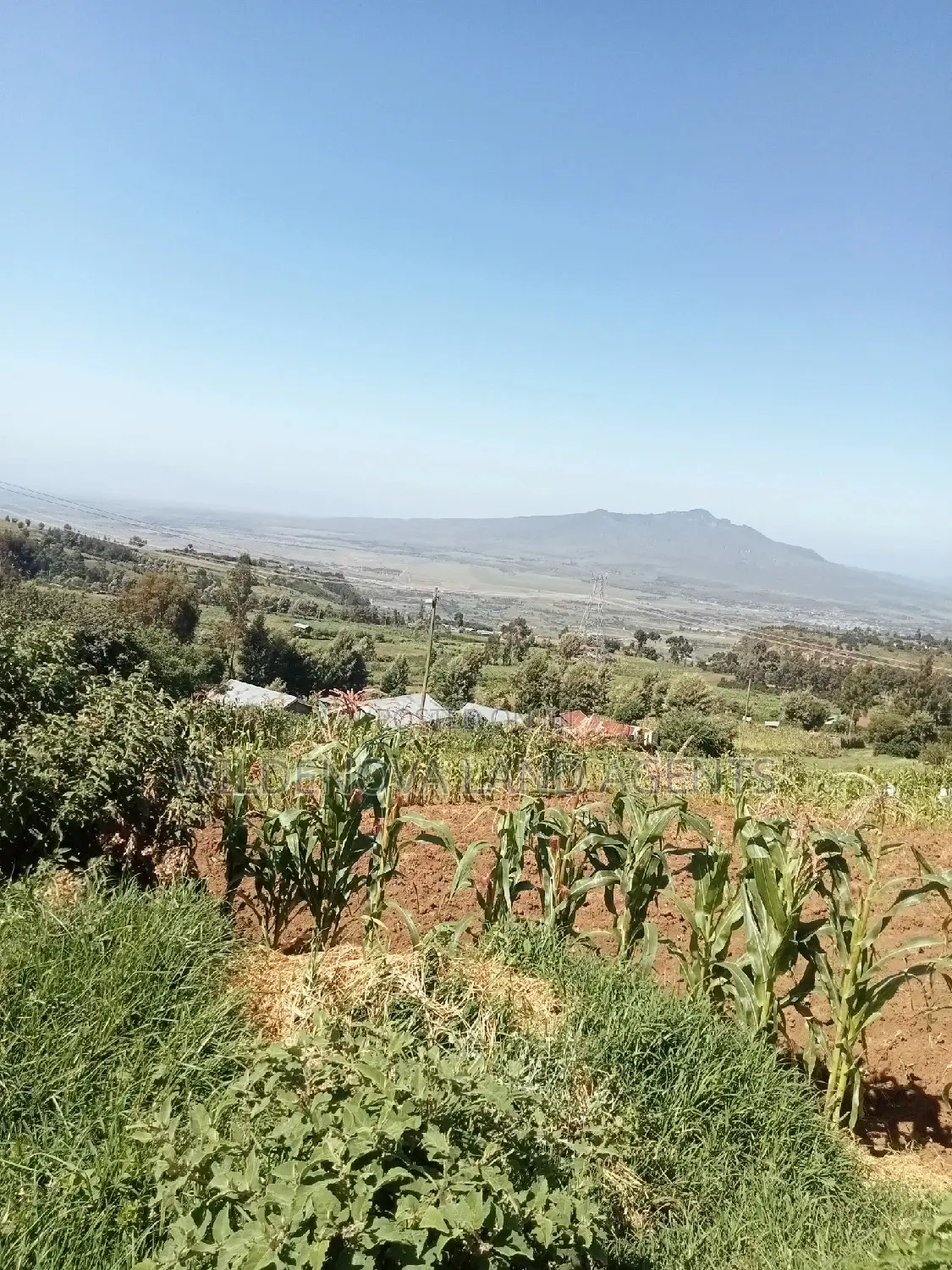 Viewpoint Naivasha: Land Opportunities Await in Naivasha East