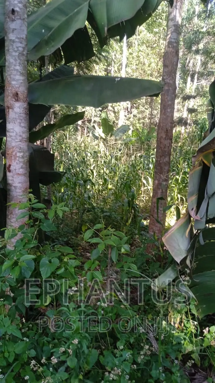 50 by 100 Tinganga in Tinganga