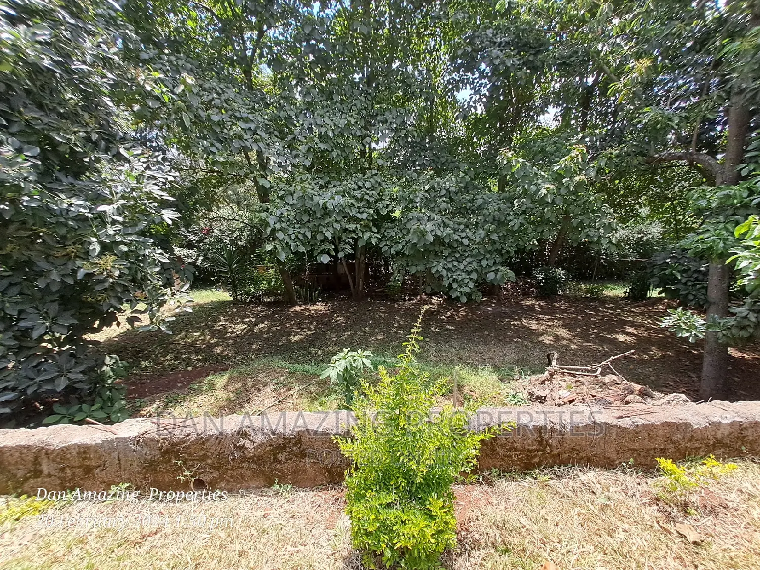 Seek 4-Bedroom Commercial Property Rent in Karen-Gataka Road on a 1/2 Acre Plot in Karen