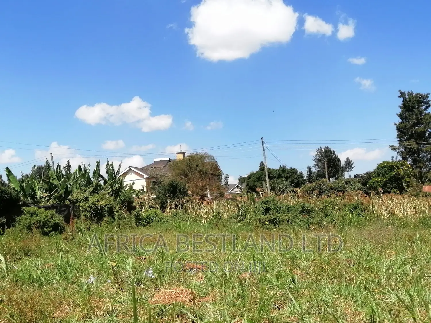 100x100 Plot for Sale in Kikuyu Ondiri Kiambu in Kikuyu