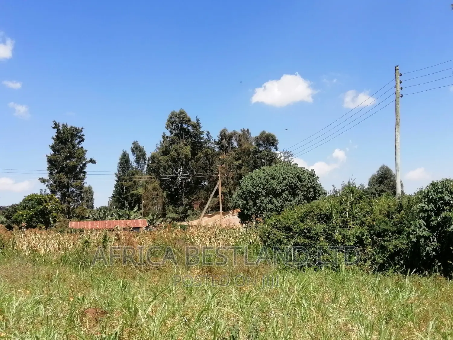 100x100 Plot for Sale in Kikuyu Ondiri Kiambu in Kikuyu