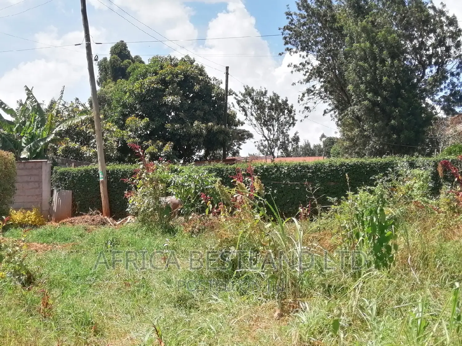 100x100 Plot for Sale in Kikuyu Ondiri Kiambu in Kikuyu