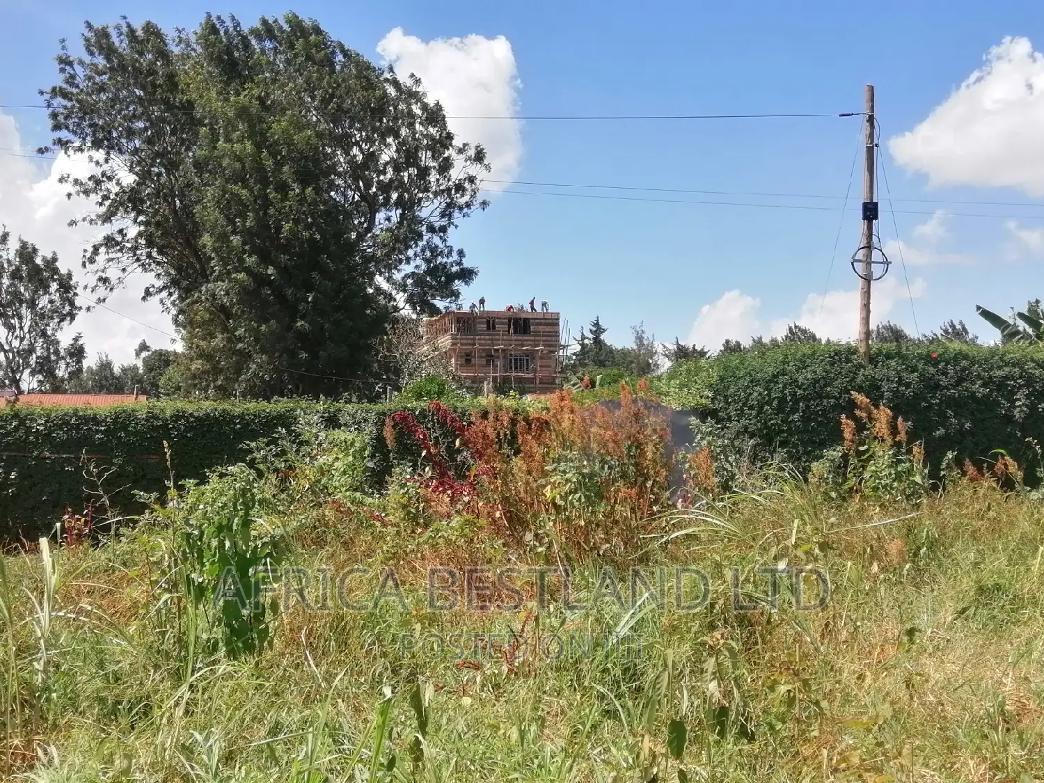 100x100 Plot for Sale in Kikuyu Ondiri Kiambu in Kikuyu