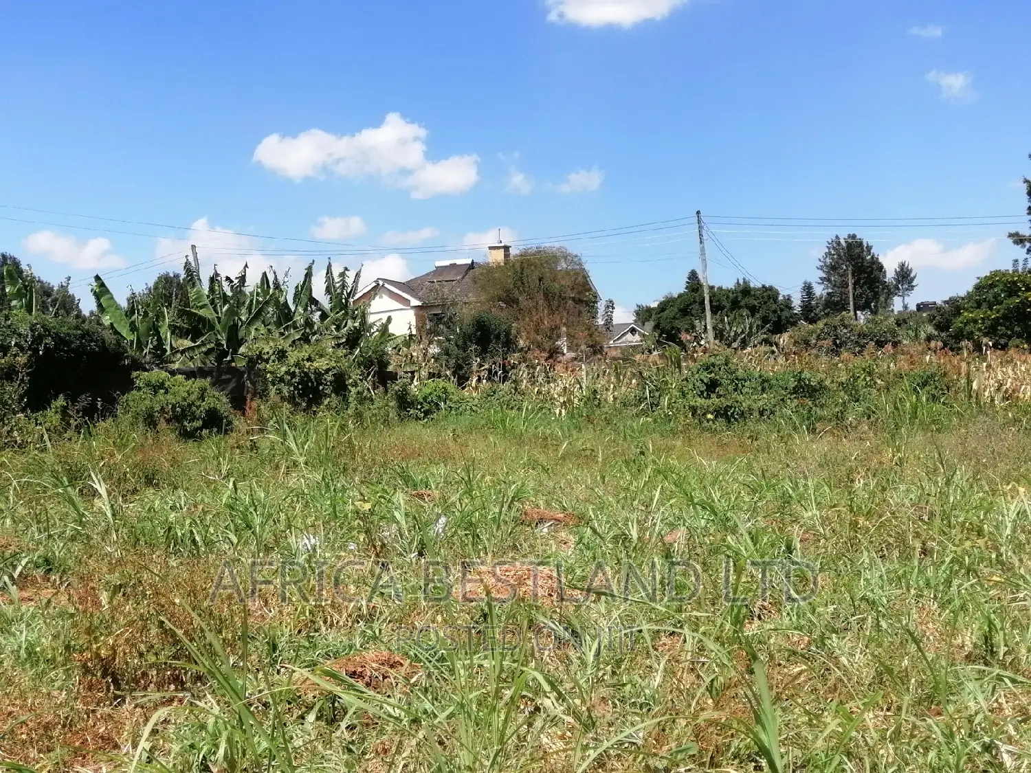 100x100 Plot for Sale in Kikuyu Ondiri Kiambu in Kikuyu
