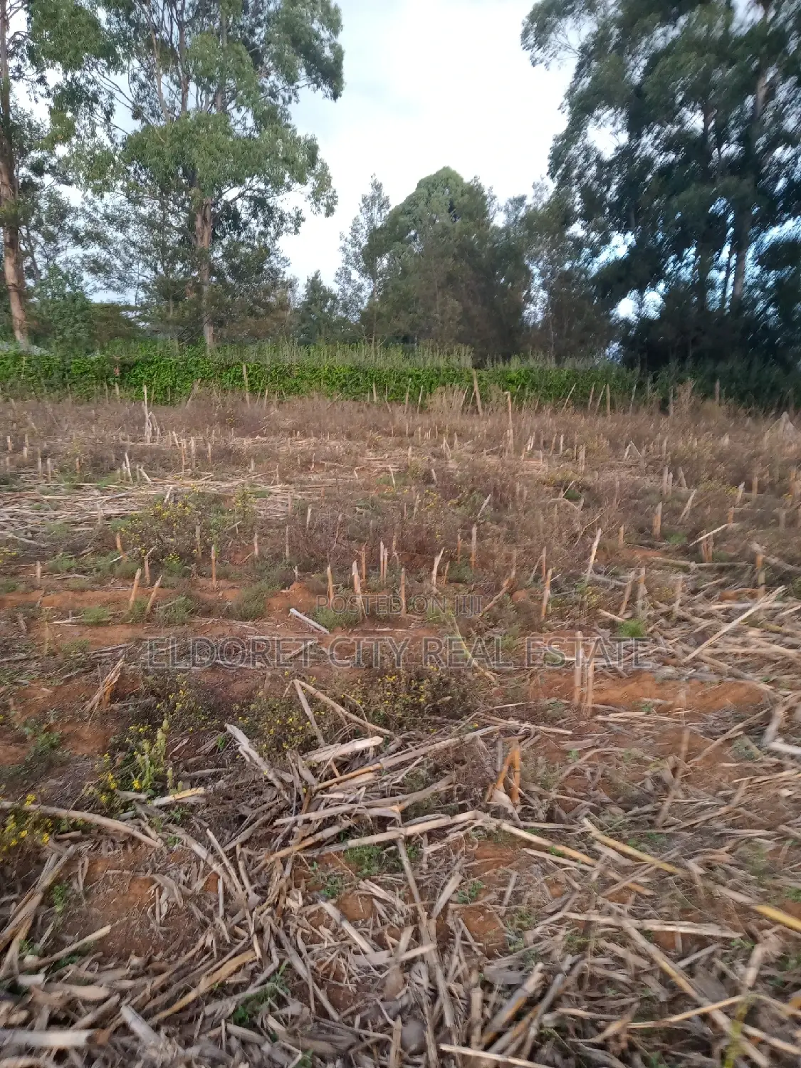 5 Acres Merewet With Title of Five. in Kapsuswa