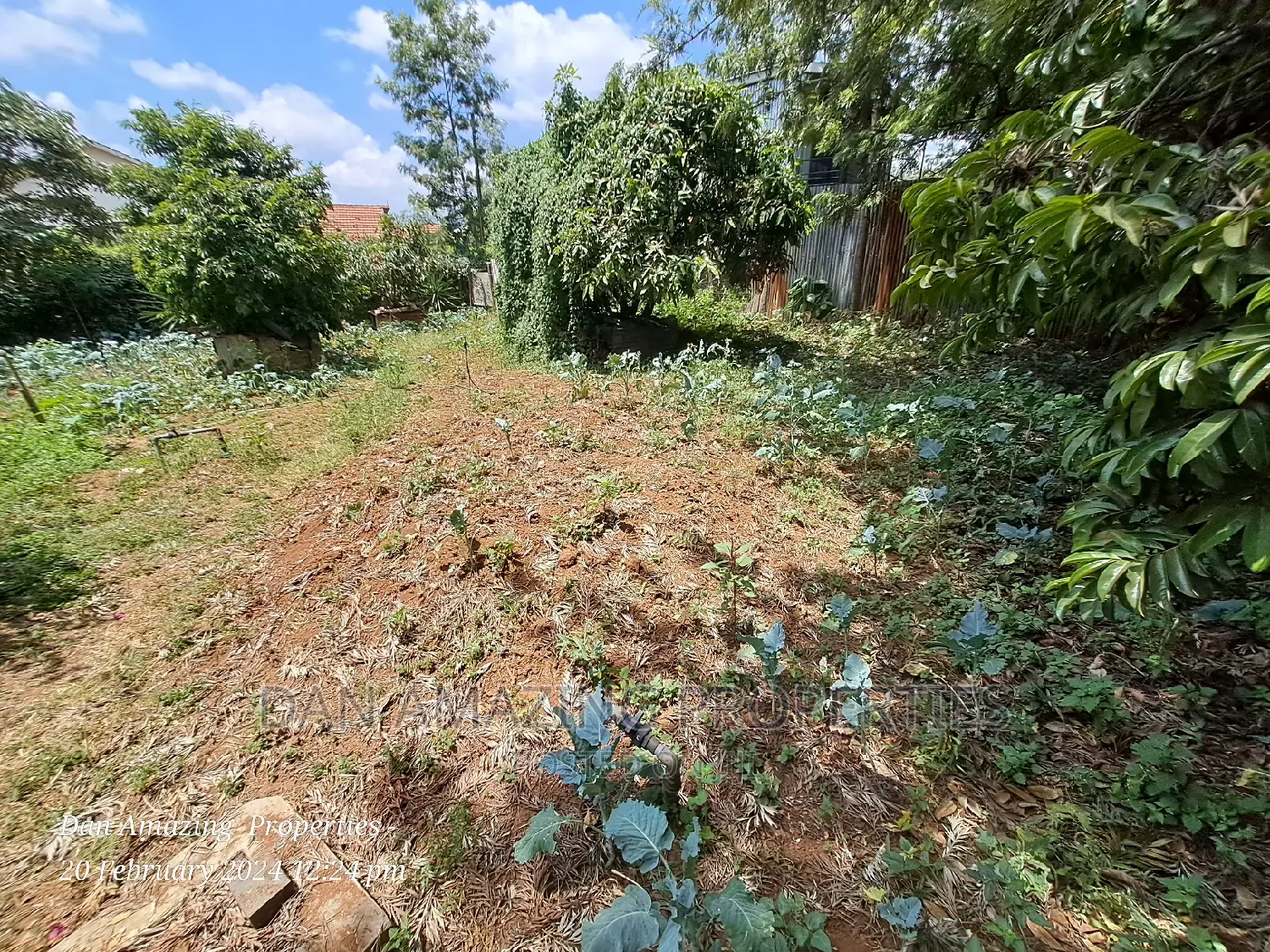 Karen Gataka Road: Large 1/8 Apartment Available for Lease in Karen