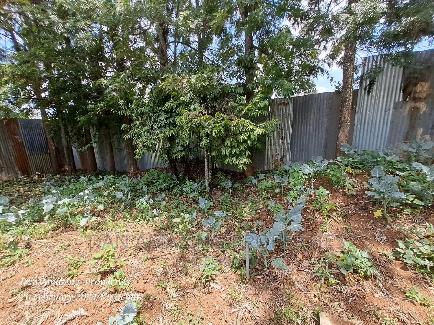 Karen Gataka Road: Large 1/8 Apartment Available for Lease in Karen