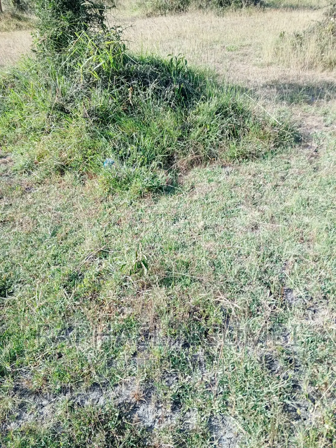 3.5acres Machakos/Katumani Road. Contact in Machakos Town
