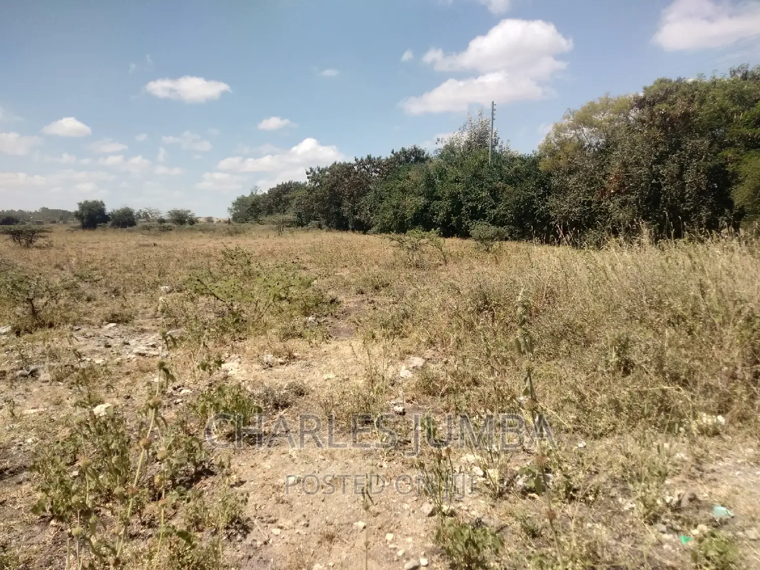 Spacious 1/4 Acre Property in Chuna B - Your Next Real Estate Venture! in Kitengela