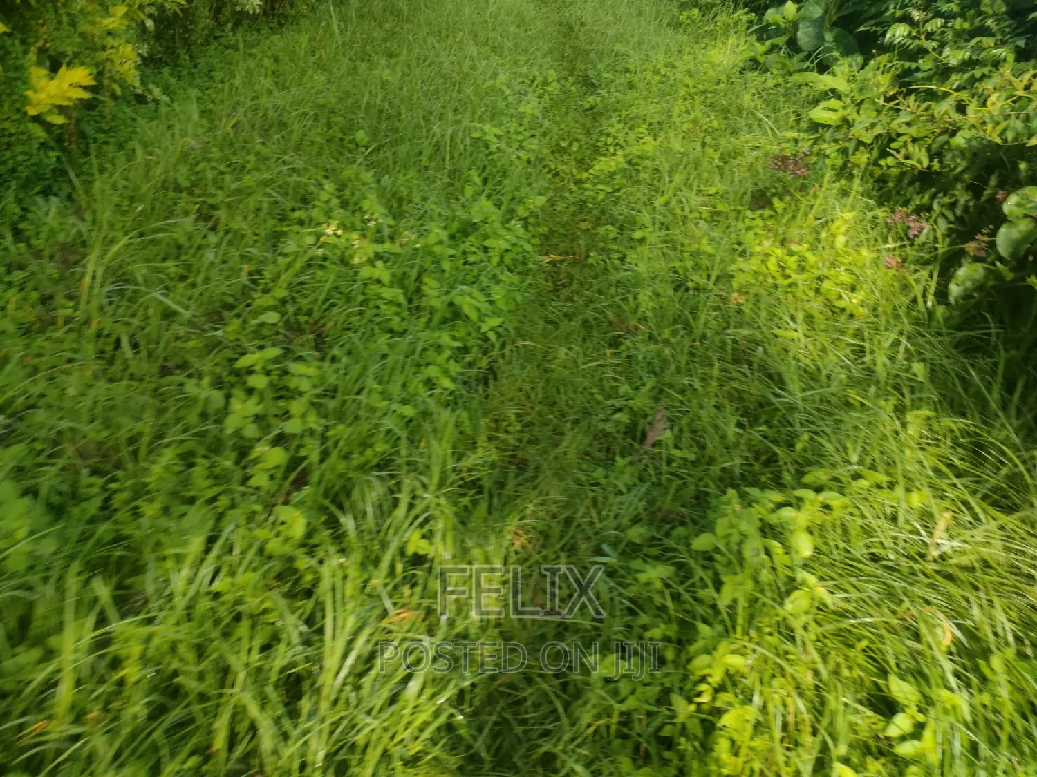 4 Acres Karatina/Kagochi University Main Tarmac in Karatina Town