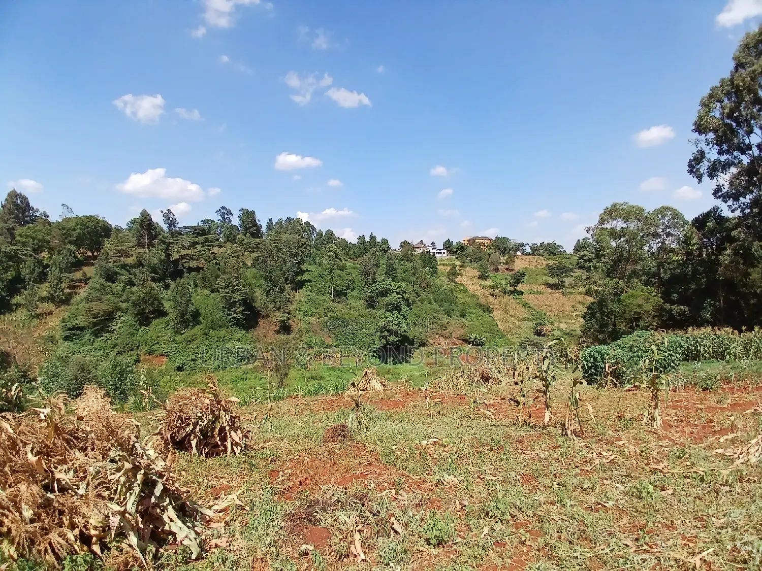 2.5-Acre Premium Land - Invest in Prime Real Estate Today in Kikuyu