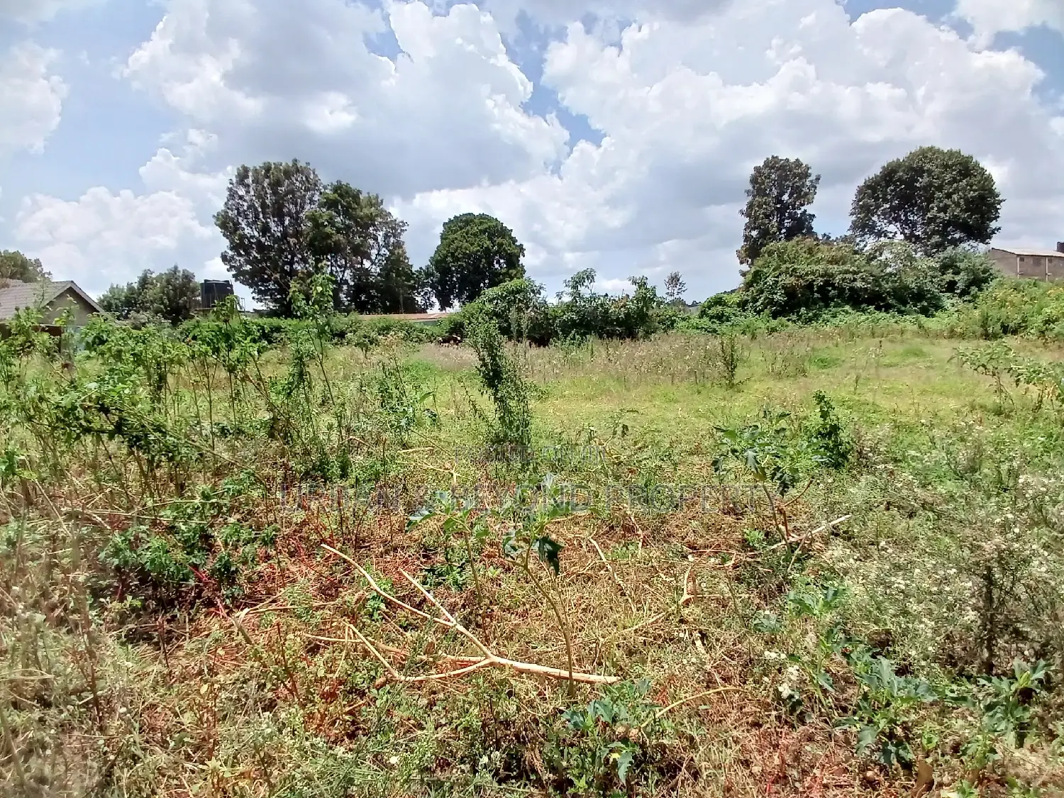 2.5-Acre Premium Land - Invest in Prime Real Estate Today in Kikuyu