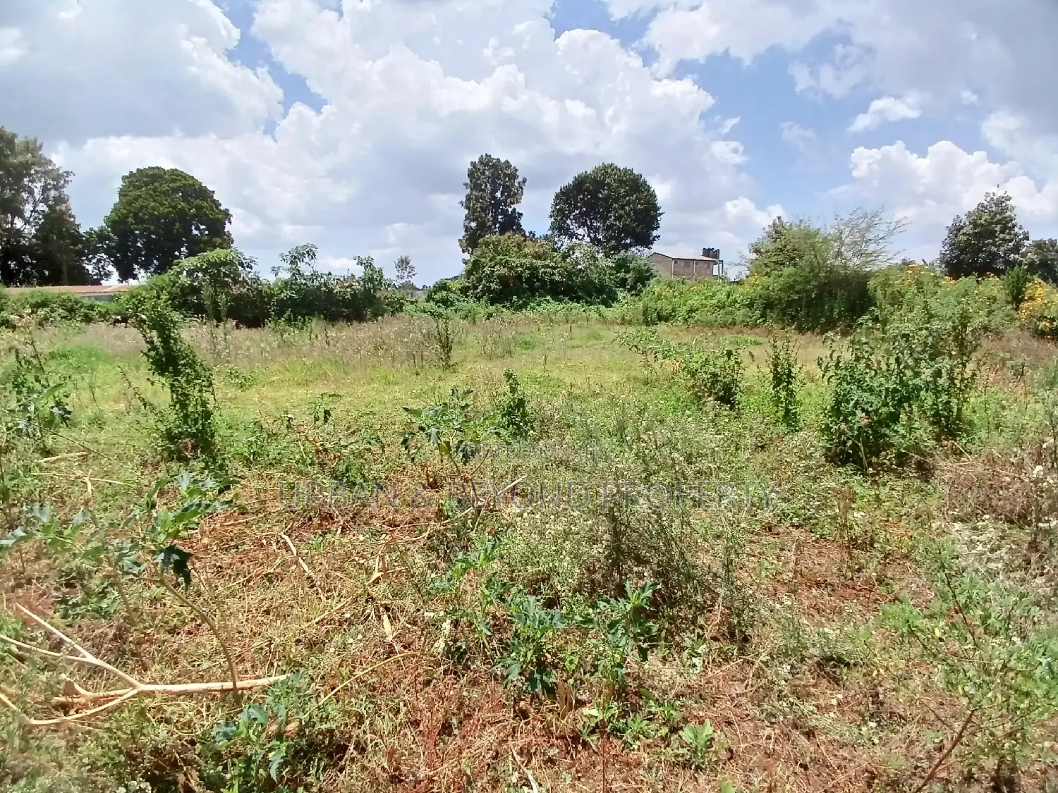 2.5-Acre Premium Land - Invest in Prime Real Estate Today in Kikuyu