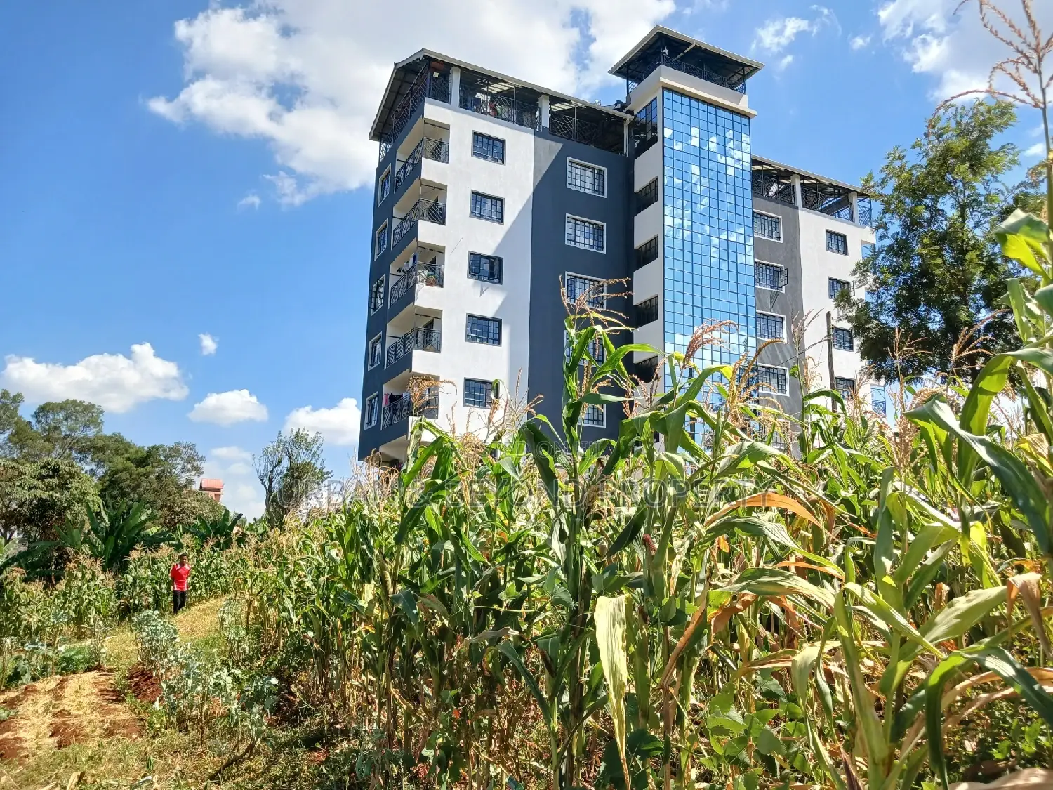 2.5-Acre Premium Land - Invest in Prime Real Estate Today in Kikuyu