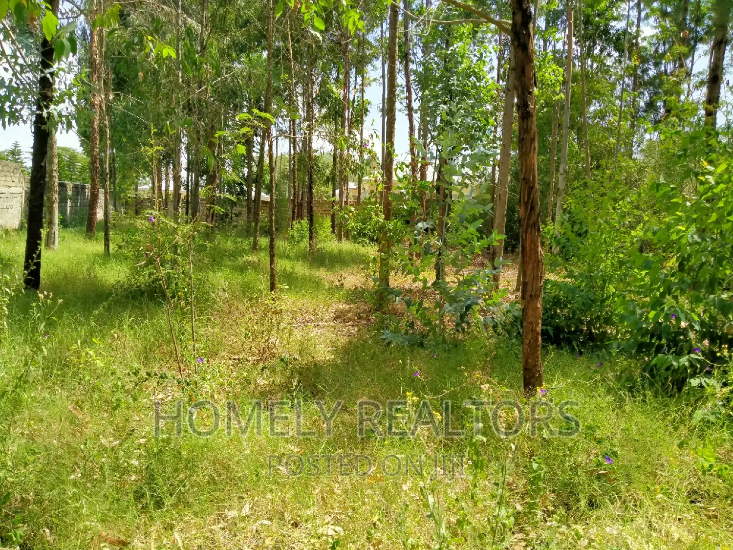 Half Acre Land for Sale in Ongata Rongai - Rimpa Tarmac, Features Perimeter Wall in Rimpa