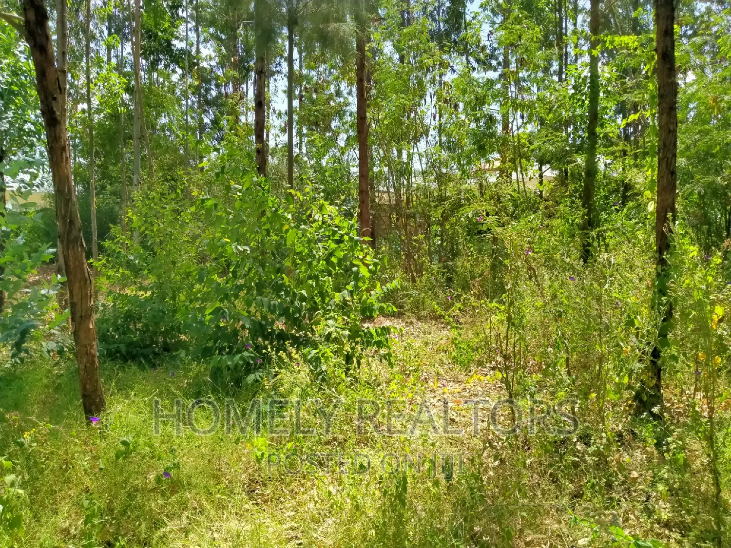 Half Acre Land for Sale in Ongata Rongai - Rimpa Tarmac, Features Perimeter Wall in Rimpa