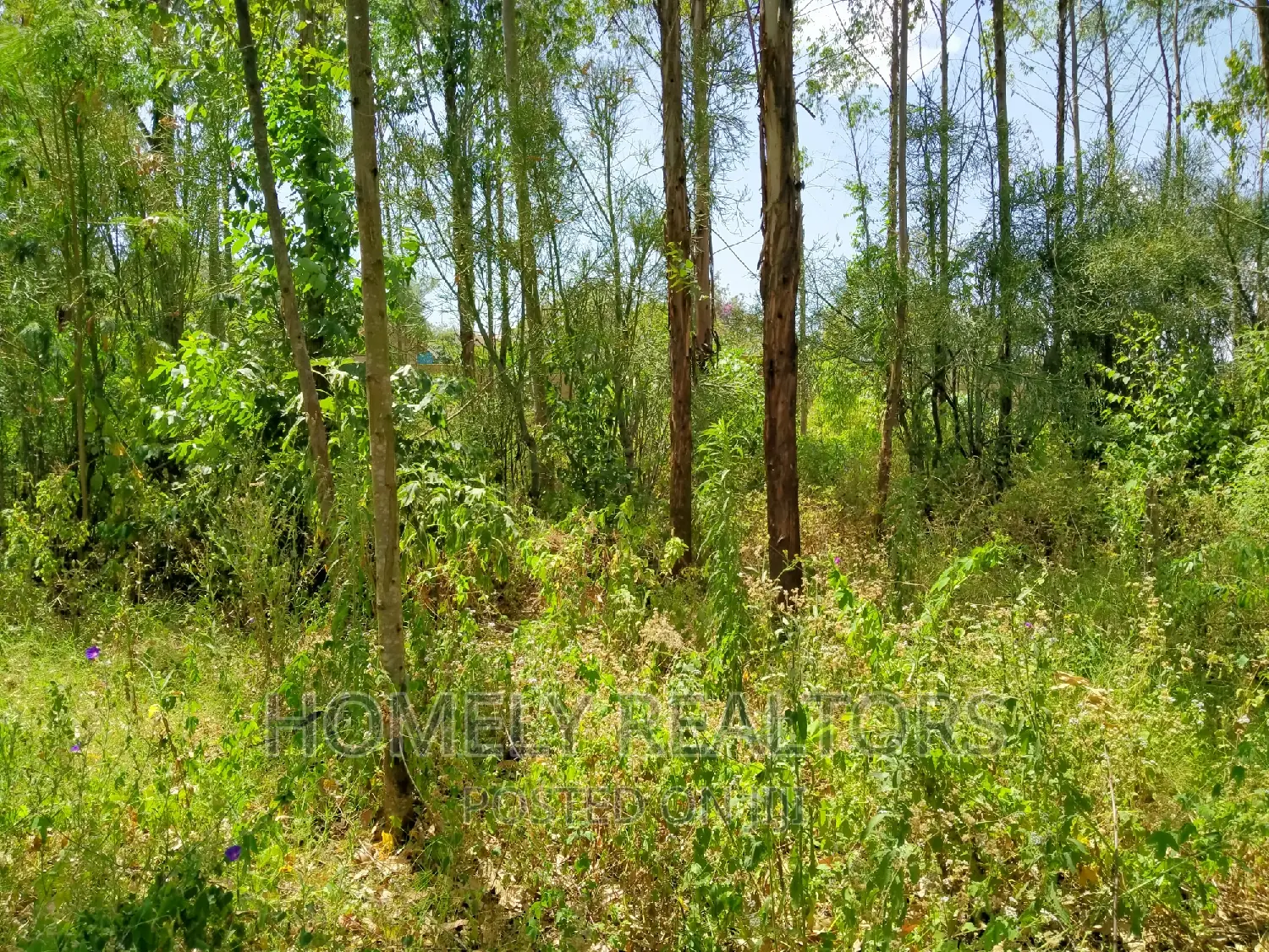 Half Acre Land for Sale in Ongata Rongai - Rimpa Tarmac, Features Perimeter Wall in Rimpa