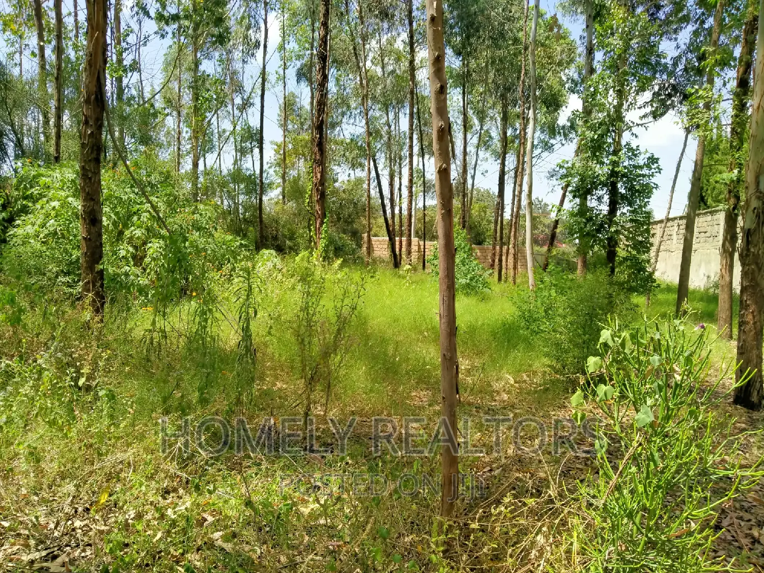 Half Acre Land for Sale in Ongata Rongai - Rimpa Tarmac, Features Perimeter Wall in Rimpa