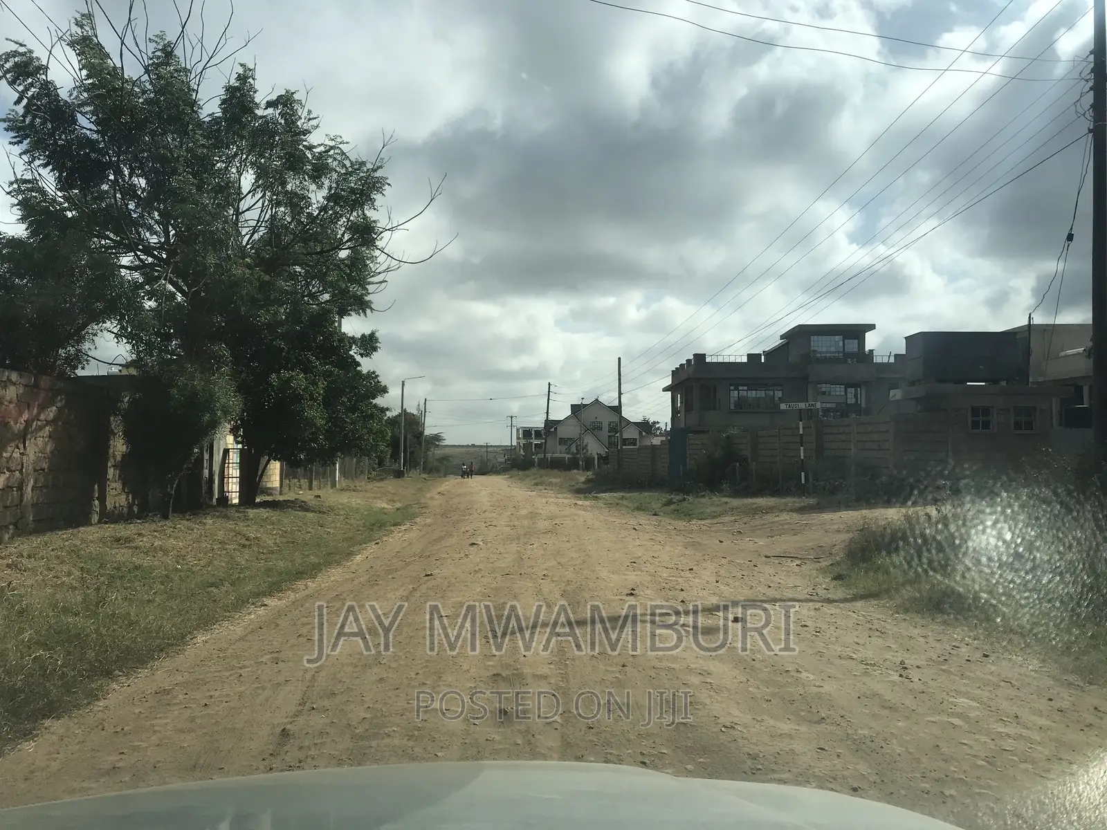 100 By100 Plot Sabaki in Sabaki