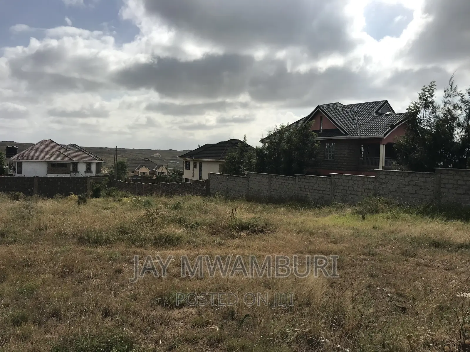 100 By100 Plot Sabaki in Sabaki