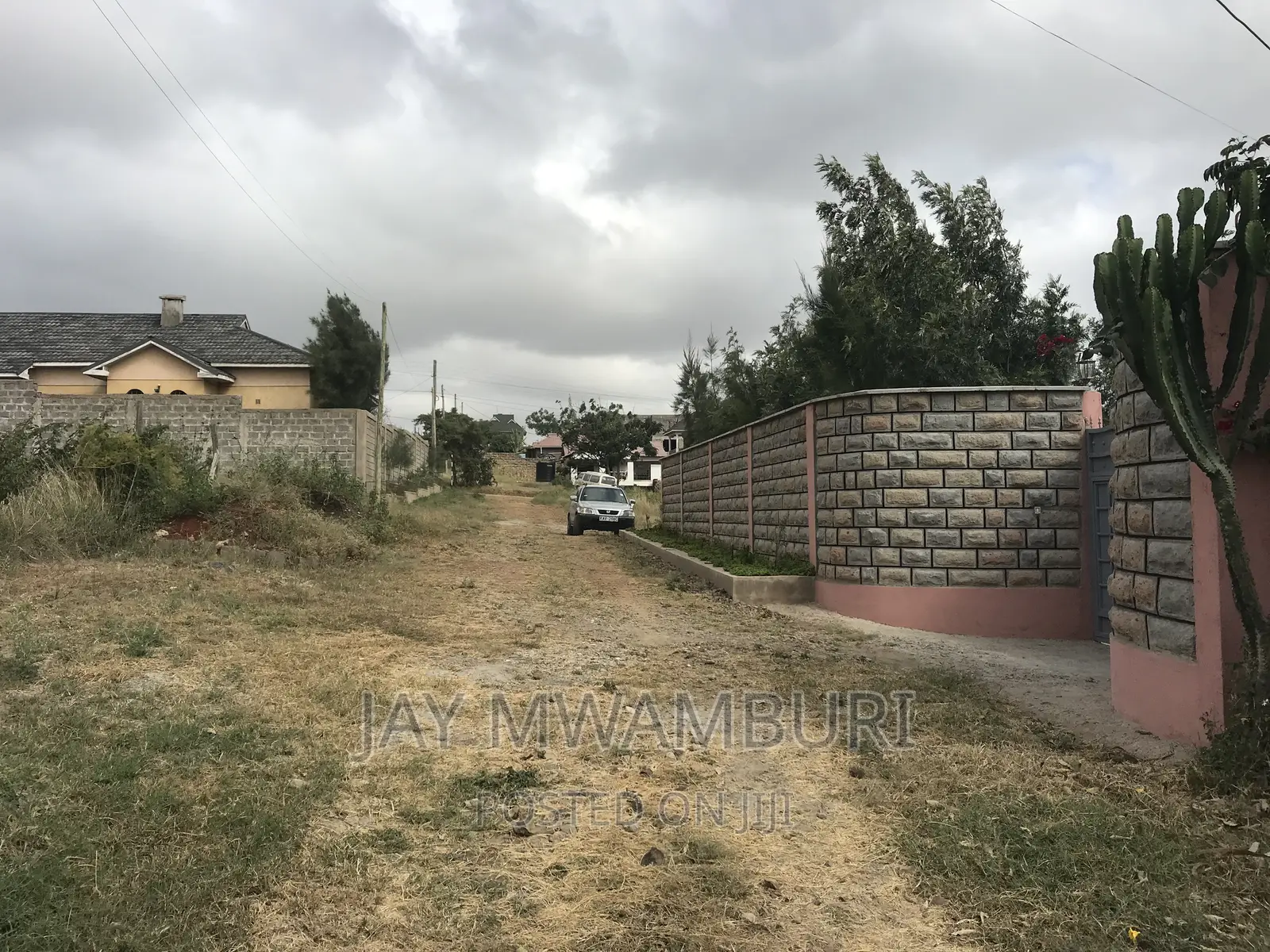 100 By100 Plot Sabaki in Sabaki