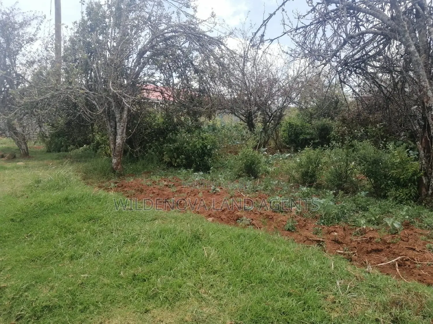 Buy Land Now in Limuru Kinyogori Kiambu - Great Prices! in Bibirioni