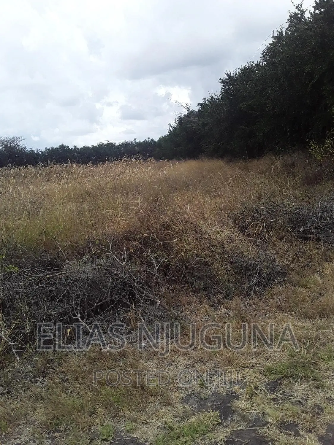 Farmland in Ruai Kantafu: 100 Acres along Kangundo Road in Ruai