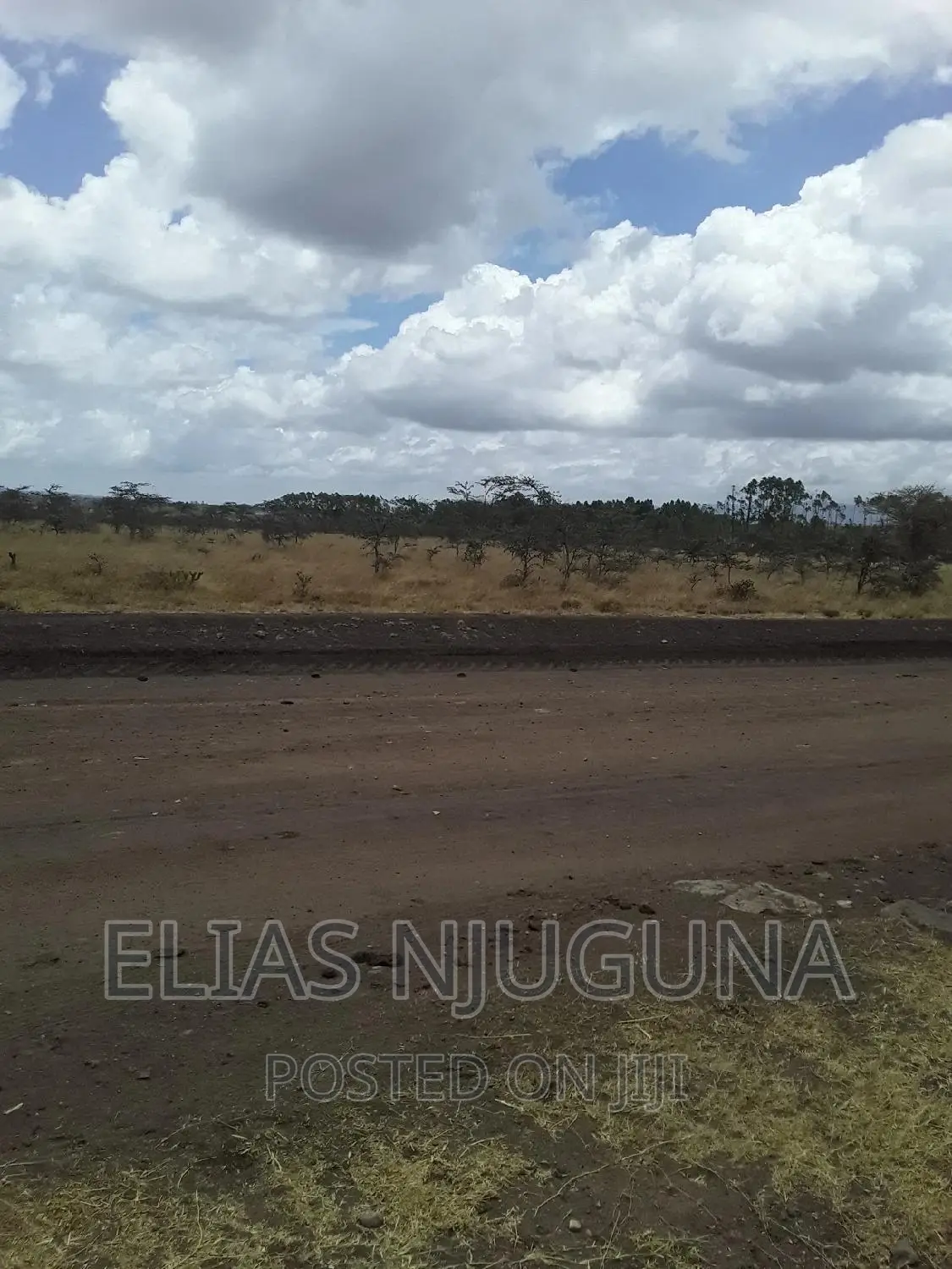 Farmland in Ruai Kantafu: 100 Acres along Kangundo Road in Ruai