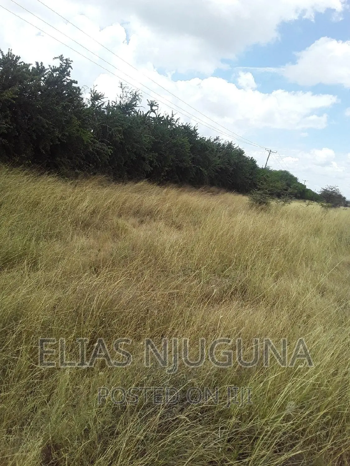 Farmland in Ruai Kantafu: 100 Acres along Kangundo Road in Ruai
