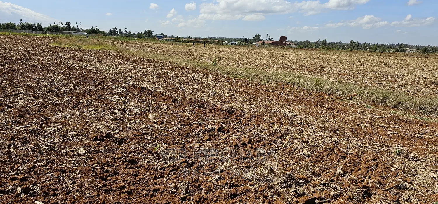 Kimumu Marura Commercial Plot: 1/4 Acre Available for Sale in Eldoret in Kimumu