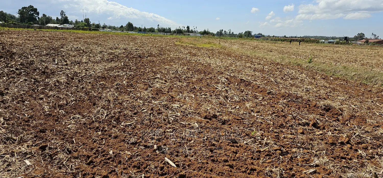Kimumu Marura Commercial Plot: 1/4 Acre Available for Sale in Eldoret in Kimumu