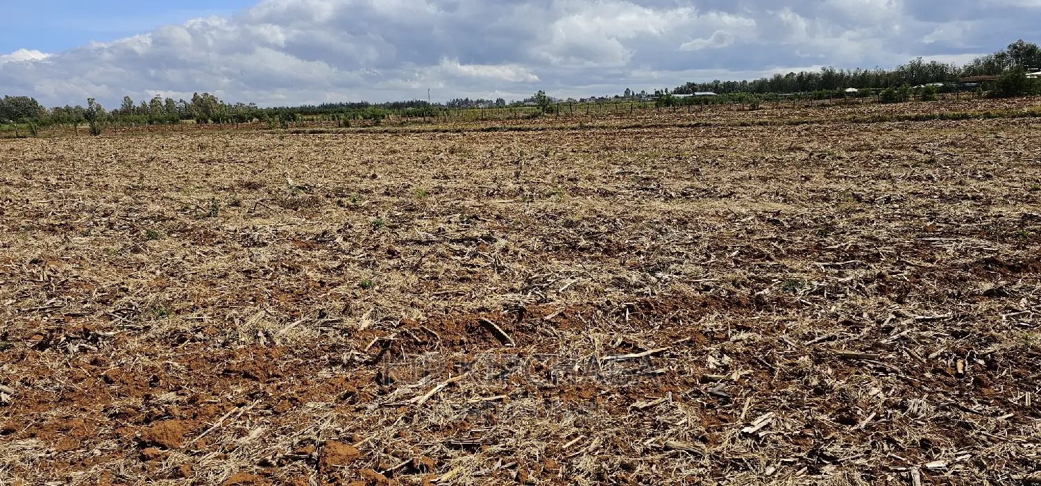 Kimumu Marura Commercial Plot: 1/4 Acre Available for Sale in Eldoret in Kimumu