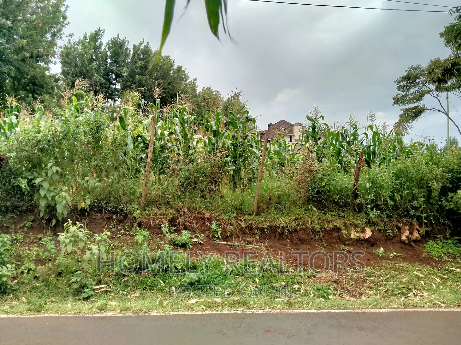Half-Acre Land for Sale - Ngong, Tarmac Access via Lemiso Rd in Ngong