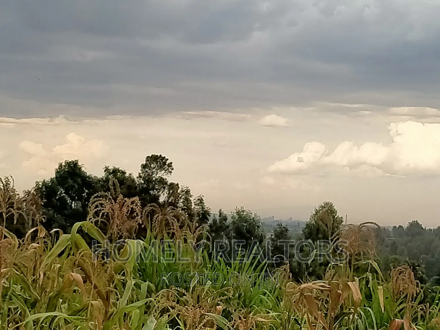 Ngong's Maragara Rd. Eighth Acre - Near Tarmac, Enjoying Gorgeous Views in Ngong