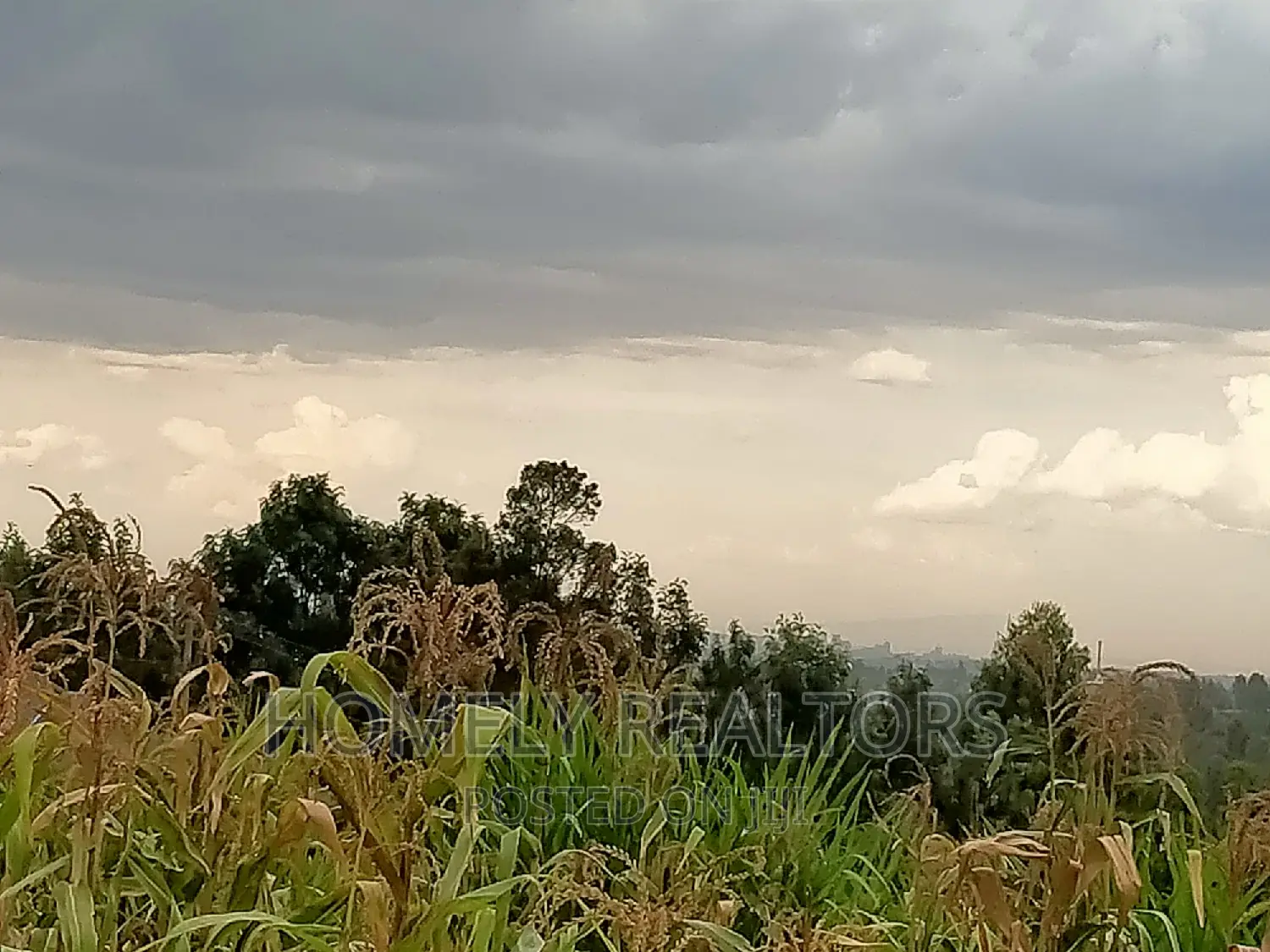 Ngong's Maragara Rd. Eighth Acre - Near Tarmac, Enjoying Gorgeous Views in Ngong