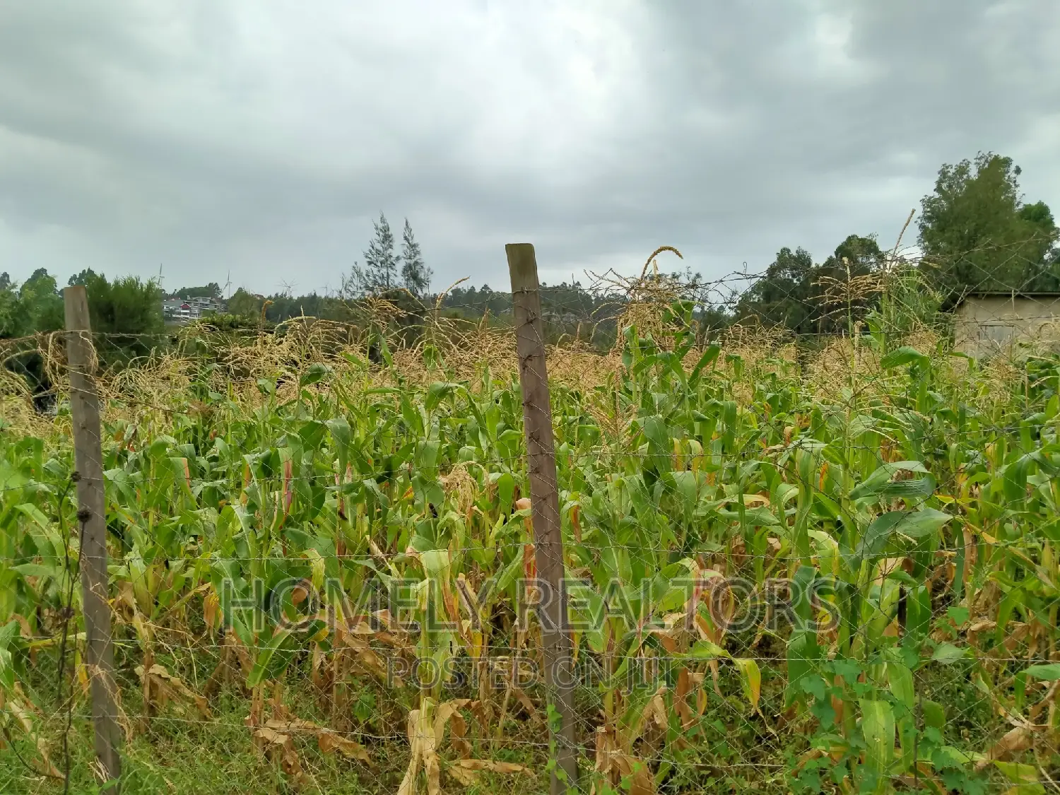 Ngong's Maragara Rd. Eighth Acre - Near Tarmac, Enjoying Gorgeous Views in Ngong