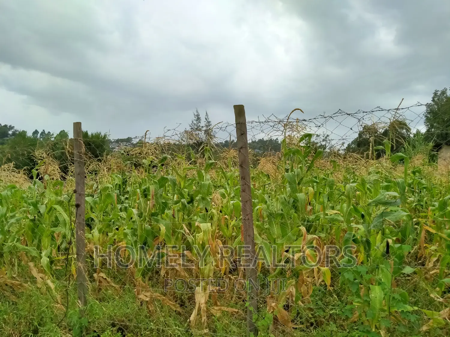Ngong's Maragara Rd. Eighth Acre - Near Tarmac, Enjoying Gorgeous Views in Ngong