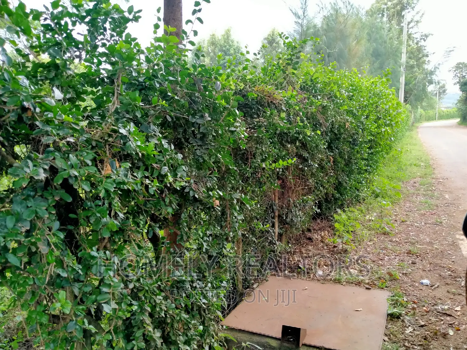 Prime Quarter Acre Plot in Ngong Along Maragara Rd, Directly Touching Tarmac in Ngong