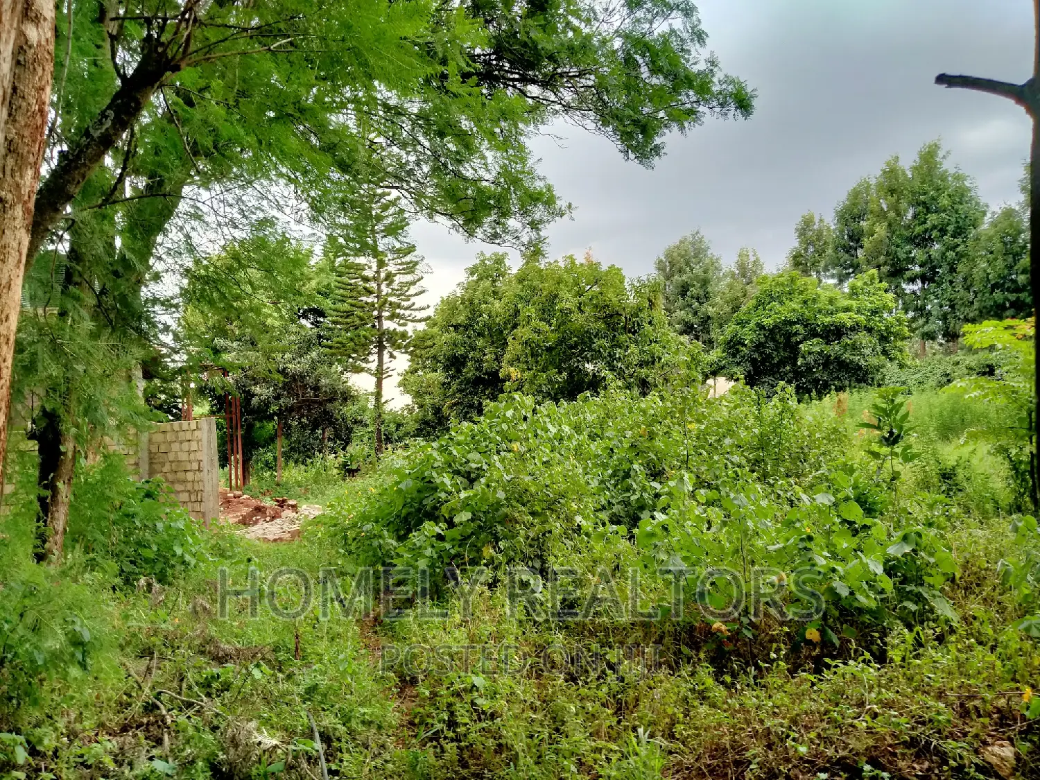 Prime Quarter Acre Plot in Ngong Along Maragara Rd, Directly Touching Tarmac in Ngong
